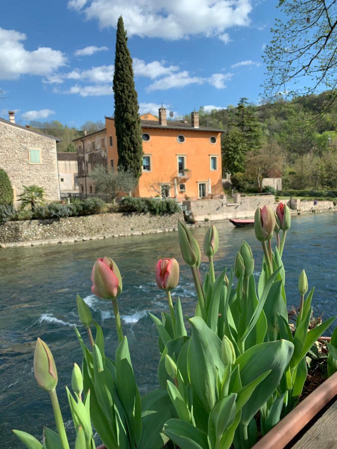 Villa Pille モンツァンバーノ エクステリア 写真