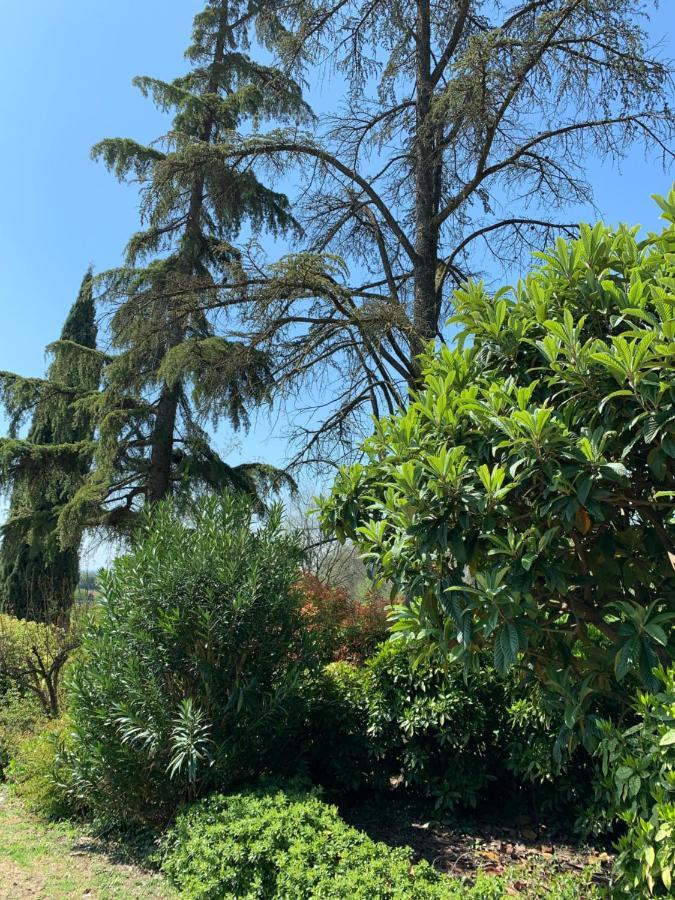 Villa Pille モンツァンバーノ エクステリア 写真